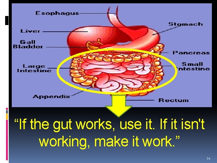 “If the gut works, use it. If it isn't working, make it work. ”