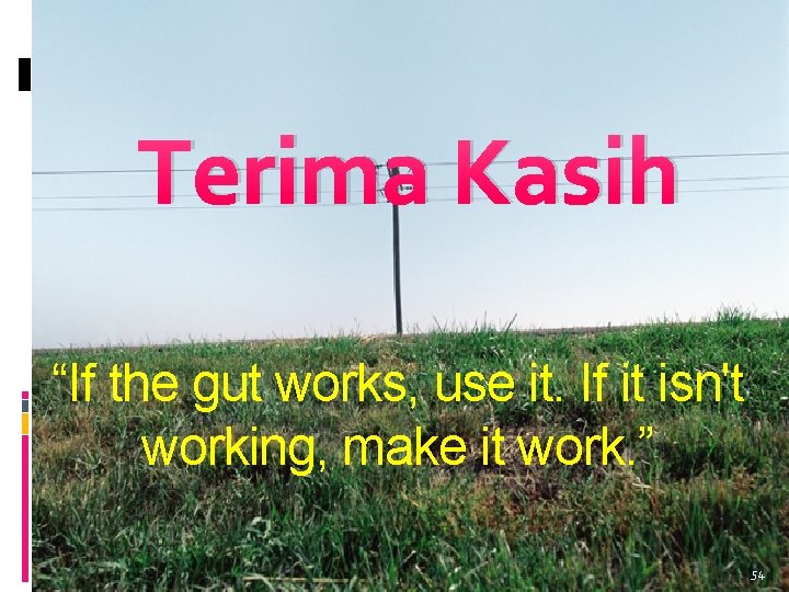 Terima Kasih “If the gut works, use it. If it isn't working, make it