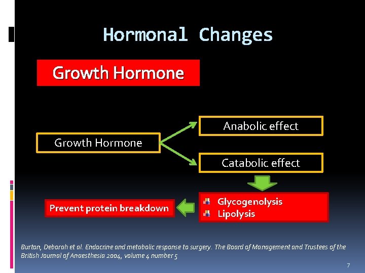 Hormonal Changes Growth Hormone Anabolic effect Growth Hormone Catabolic effect Prevent protein breakdown Glycogenolysis