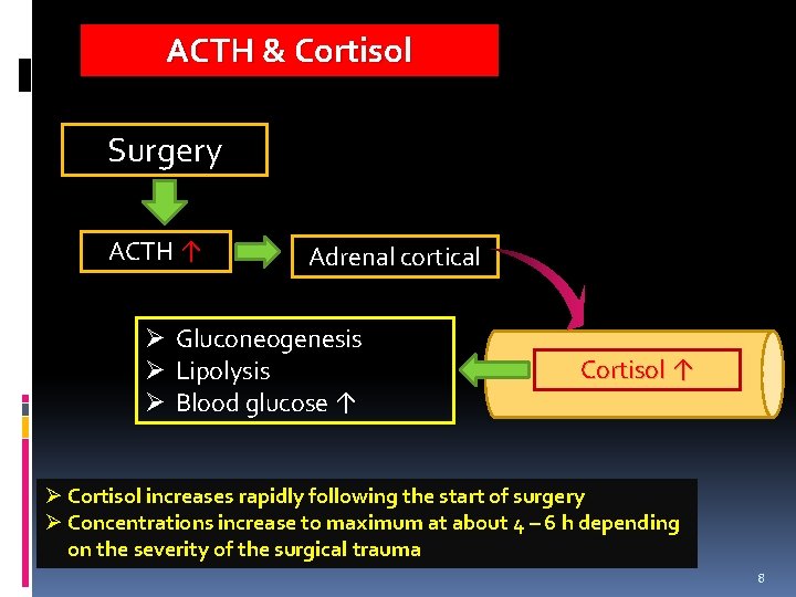 ACTH & Cortisol Surgery ACTH ↑ Adrenal cortical Ø Gluconeogenesis Ø Lipolysis Ø Blood