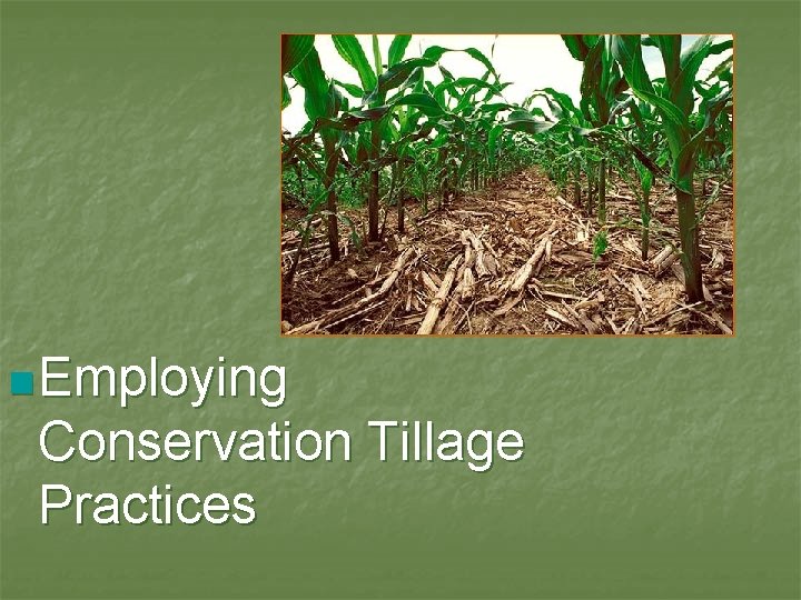 n Employing Conservation Tillage Practices 