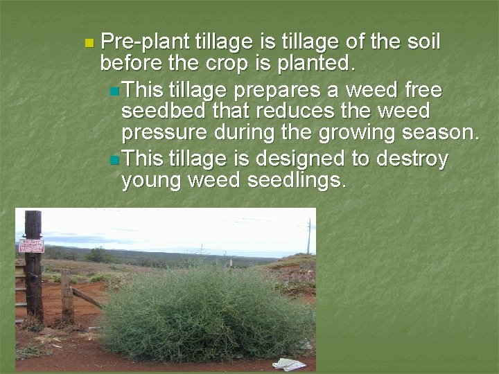 n Pre-plant tillage is tillage of the soil before the crop is planted. n