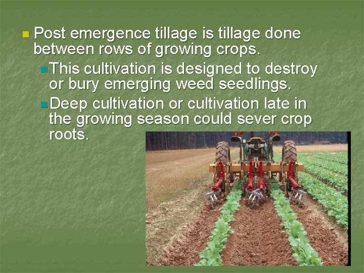 n Post emergence tillage is tillage done between rows of growing crops. n This
