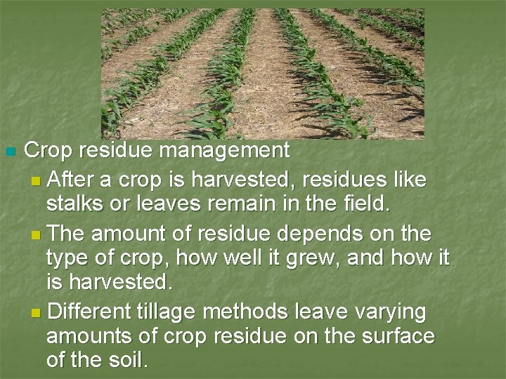 n Crop residue management n After a crop is harvested, residues like stalks or