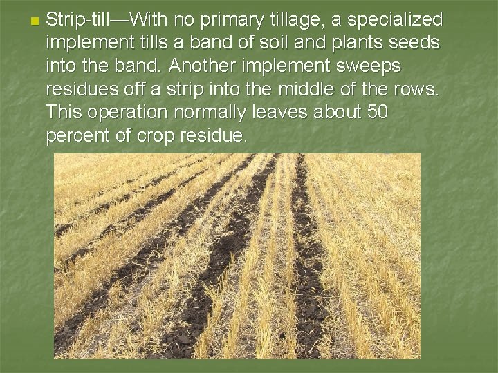 n Strip-till—With no primary tillage, a specialized implement tills a band of soil and