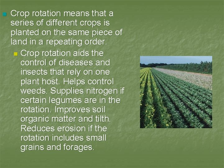 n Crop rotation means that a series of different crops is planted on the