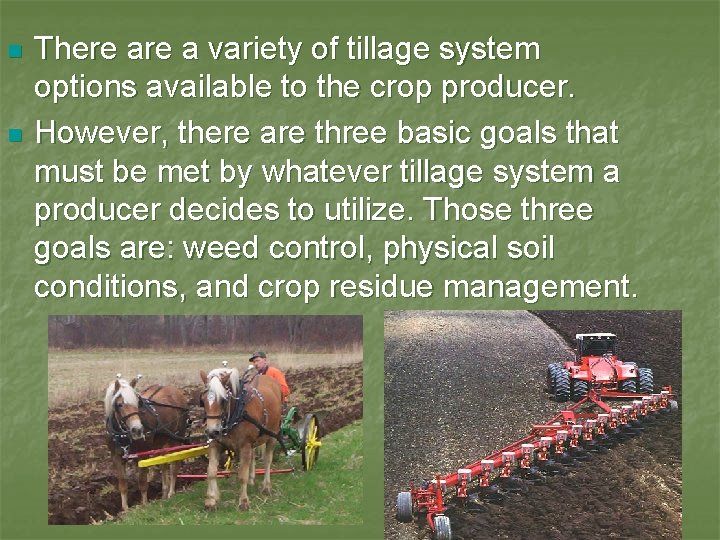 n n There a variety of tillage system options available to the crop producer.