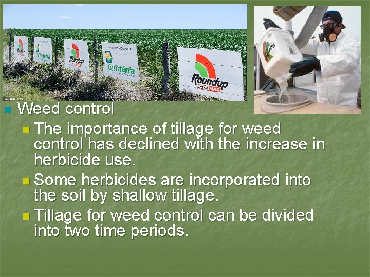 n Weed control n The importance of tillage for weed control has declined with