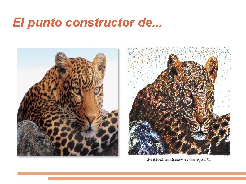 El punto constructor de. . . 