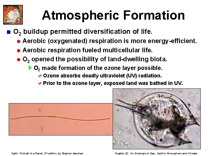 Atmospheric Formation < O 2 buildup permitted diversification of life. = Aerobic (oxygenated) respiration