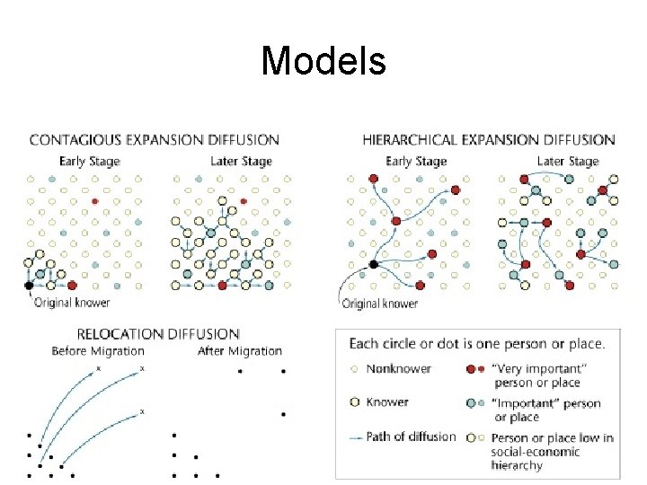 Models 