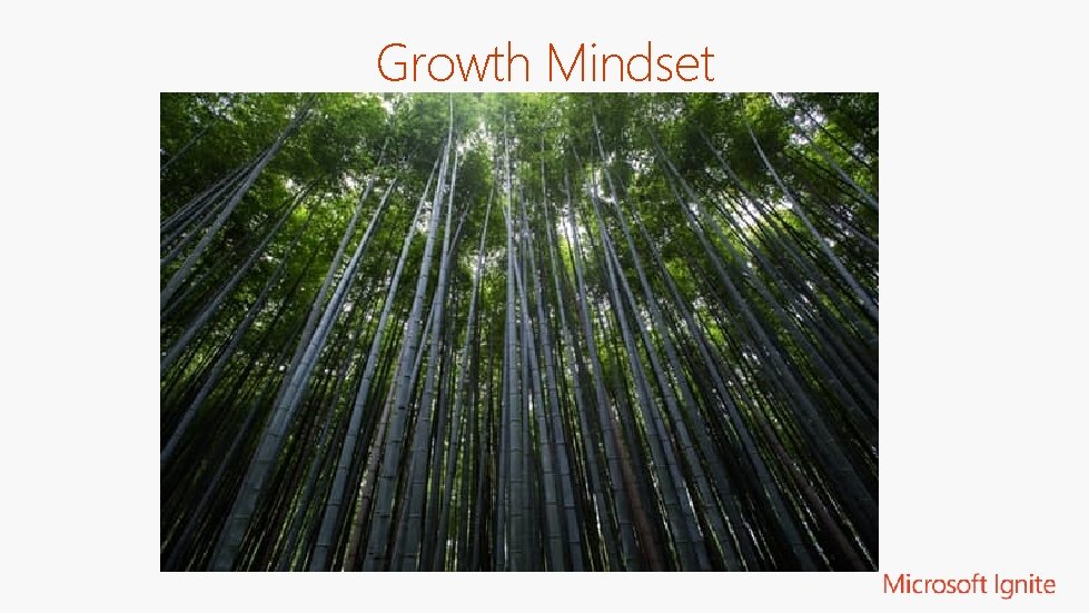 Growth Mindset 