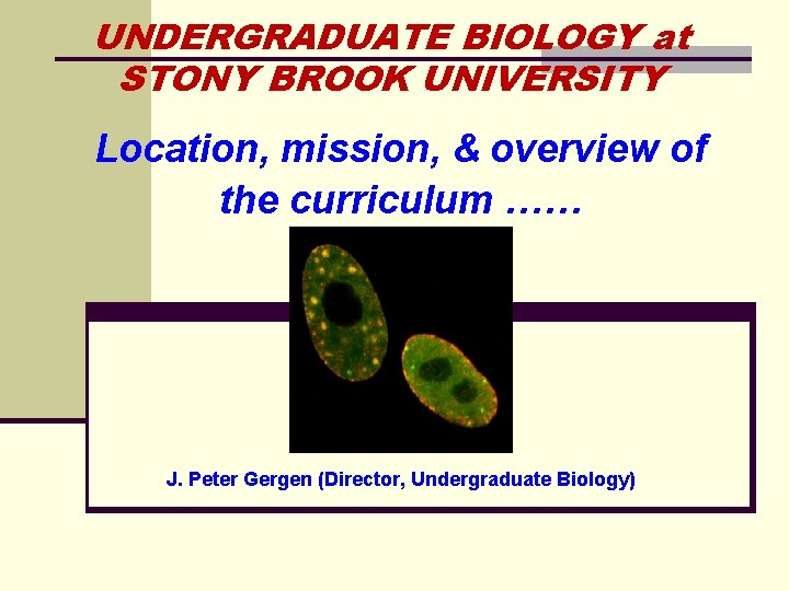 UNDERGRADUATE BIOLOGY at STONY BROOK UNIVERSITY Location, mission, & overview of the curriculum ……