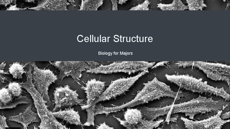 Cellular Structure Biology for Majors 