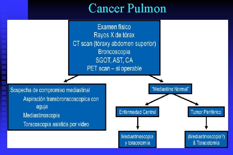 Cancer Pulmon 