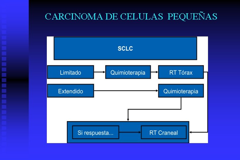 CARCINOMA DE CELULAS PEQUEÑAS 