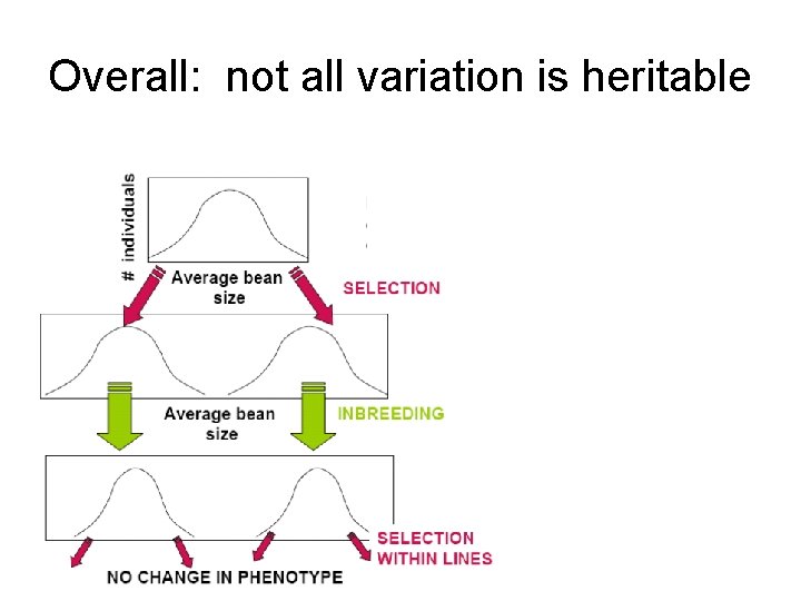 Overall: not all variation is heritable Overall: not all variation is heritable
