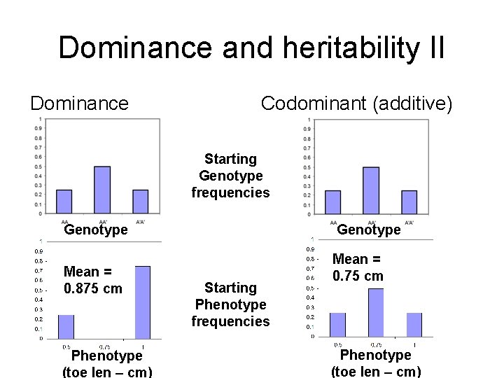 Dominance and heritability II Dominance Codominant (additive) Starting Genotype frequencies Genotype Mean = 0.