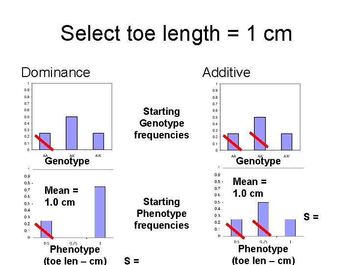 Select toe length = 1 cm Dominance Additive Starting Genotype frequencies Genotype Mean = Select toe length = 1 cm Dominance Additive Starting Genotype frequencies Genotype Mean =
