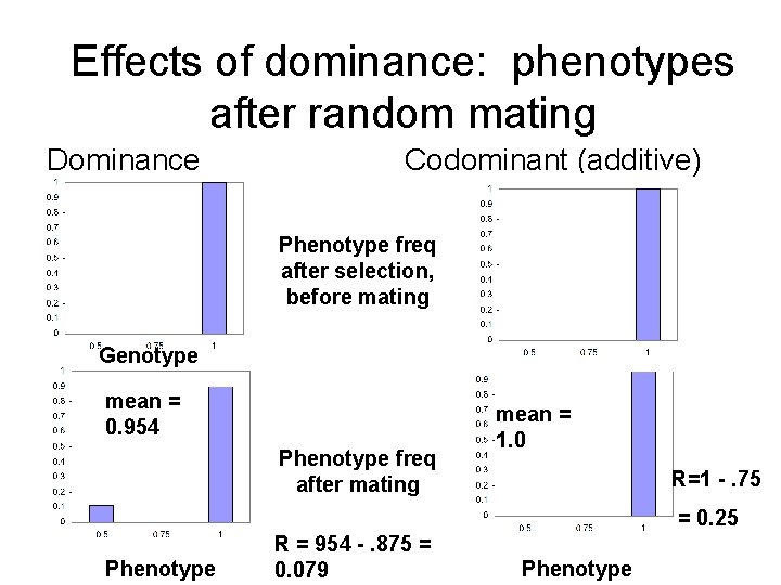 Effects of dominance: phenotypes after random mating Dominance Codominant (additive) Phenotype freq after selection, Effects of dominance: phenotypes after random mating Dominance Codominant (additive) Phenotype freq after selection,
