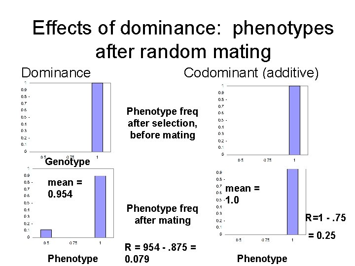 Effects of dominance: phenotypes after random mating Dominance Codominant (additive) Phenotype freq after selection,