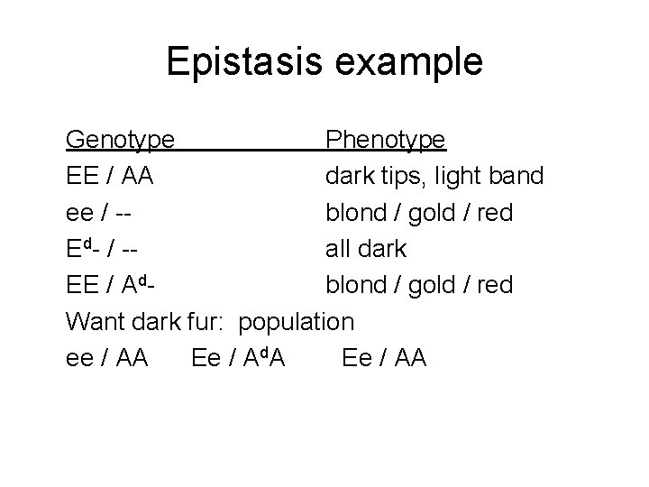Epistasis example Genotype Phenotype EE / AA dark tips, light band ee / -blond Epistasis example Genotype Phenotype EE / AA dark tips, light band ee / -blond