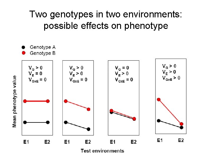 Two genotypes in two environments: possible effects on phenotype Two genotypes in two environments: possible effects on phenotype