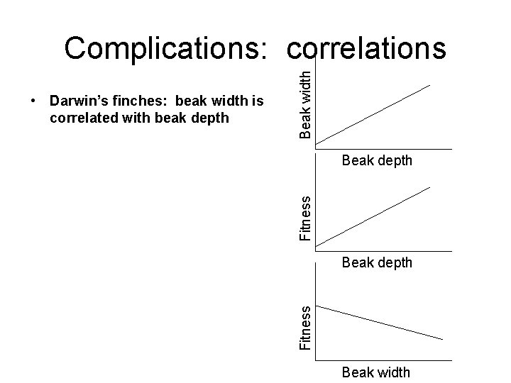 Fitness Beak depth Fitness • Darwin’s finches: beak width is correlated with beak depth