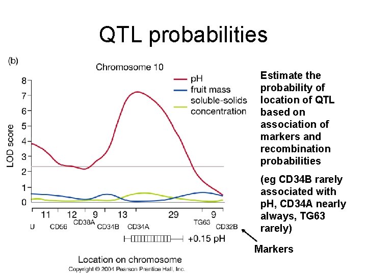 QTL probabilities Estimate the probability of location of QTL based on association of markers