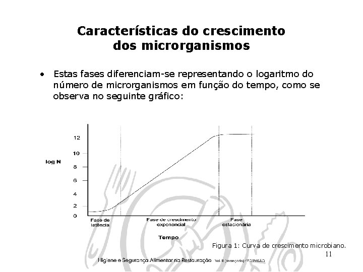 Características do crescimento dos microrganismos • Estas fases diferenciam-se representando o logaritmo do número