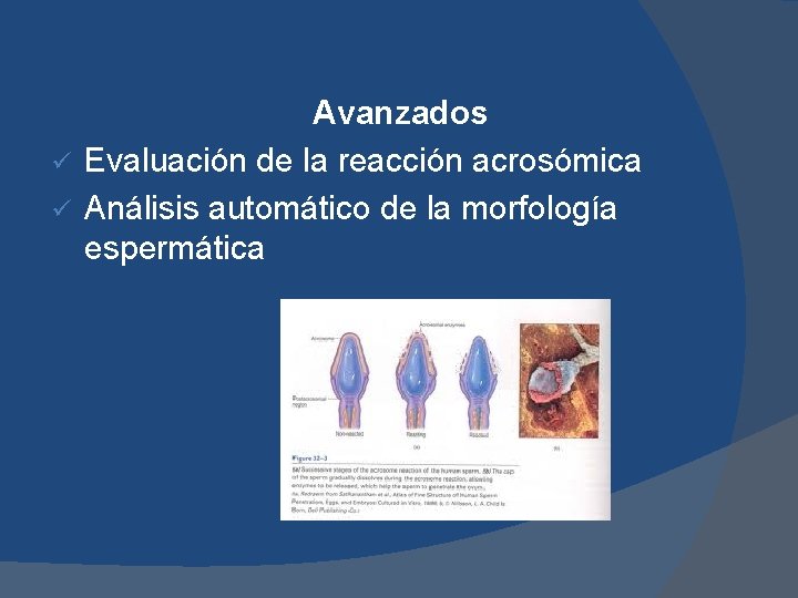 Avanzados ü Evaluación de la reacción acrosómica ü Análisis automático de la morfología espermática