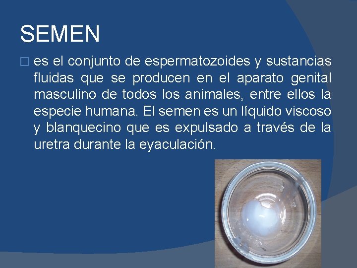 SEMEN � es el conjunto de espermatozoides y sustancias fluidas que se producen en