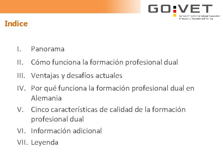 Indice I. Panorama II. Cómo funciona la formación profesional dual III. Ventajas y desafíos