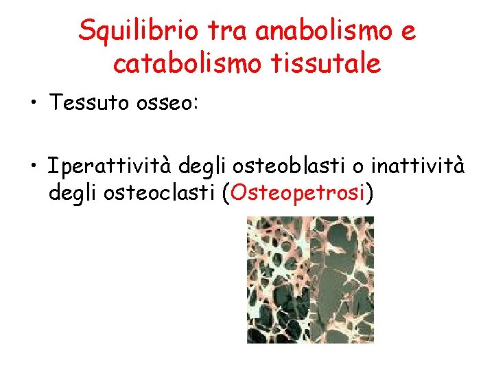 Squilibrio tra anabolismo e catabolismo tissutale • Tessuto osseo: • Iperattività degli osteoblasti o