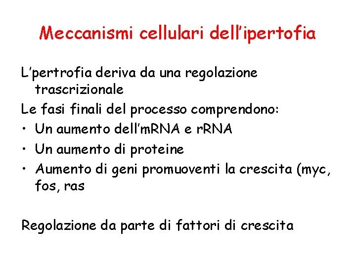 Meccanismi cellulari dell’ipertofia L’pertrofia deriva da una regolazione trascrizionale Le fasi finali del processo