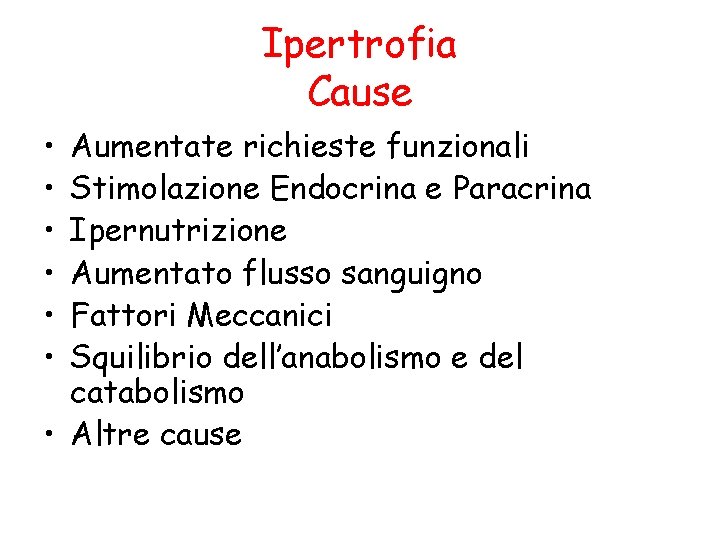 Ipertrofia Cause • • • Aumentate richieste funzionali Stimolazione Endocrina e Paracrina Ipernutrizione Aumentato