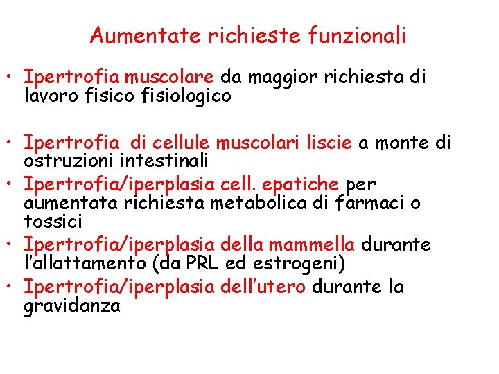 Aumentate richieste funzionali • Ipertrofia muscolare da maggior richiesta di lavoro fisico fisiologico •