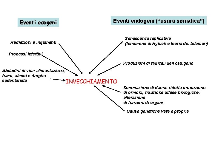 Eventi esogeni Eventi endogeni (“usura somatica”) Radiazioni e inquinanti Senescenza replicativa (fenomeno di Hyflick