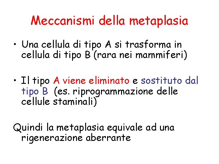 Meccanismi della metaplasia • Una cellula di tipo A si trasforma in cellula di