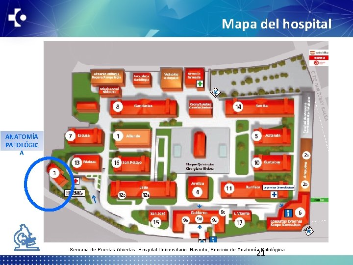 Mapa del hospital ANATOMÍA PATOLÓGIC A Semana de Puertas Abiertas. Hospital Universitario Basurto, Servicio