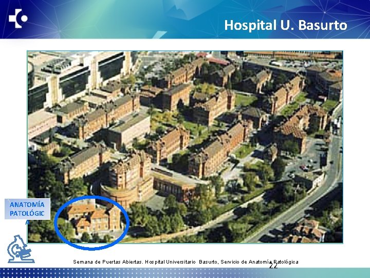 Hospital U. Basurto ANATOMÍA PATOLÓGIC A Semana de Puertas Abiertas. Hospital Universitario Basurto, Servicio