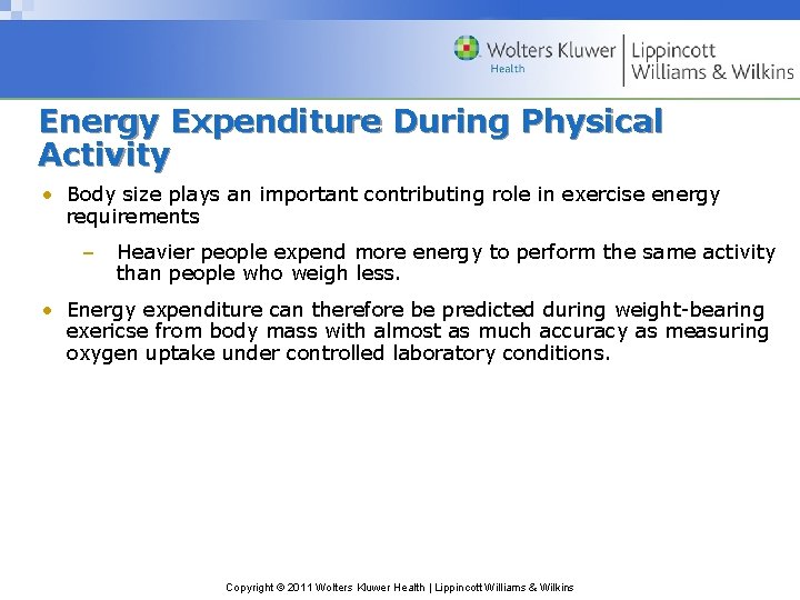 Energy Expenditure During Physical Activity • Body size plays an important contributing role in