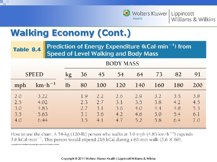 Chapter 8 Energy Expenditure During Rest and Physical