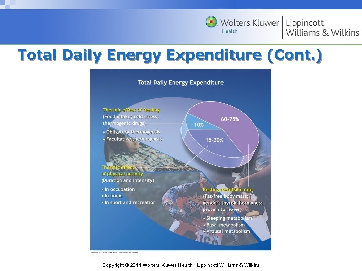 Total Daily Energy Expenditure (Cont. ) Copyright © 2011 Wolters Kluwer Health | Lippincott