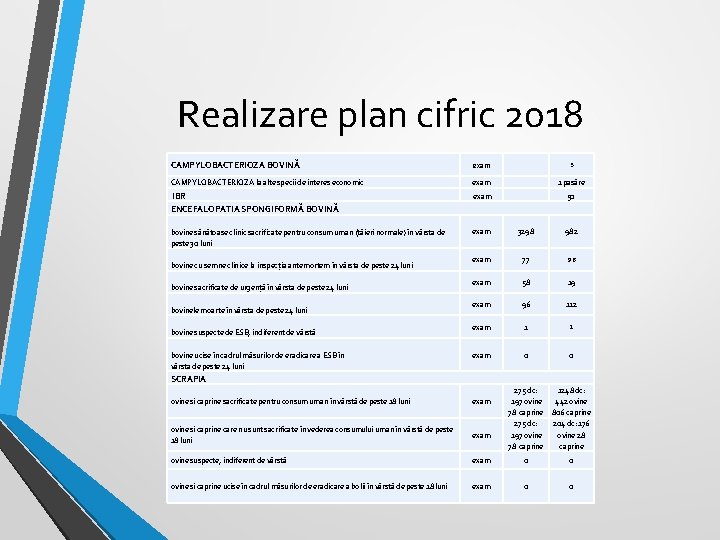 Realizare plan cifric 2018 CAMPYLOBACTERIOZA BOVINĂ exam 3 CAMPYLOBACTERIOZA la alte specii de interes Realizare plan cifric 2018 CAMPYLOBACTERIOZA BOVINĂ exam 3 CAMPYLOBACTERIOZA la alte specii de interes