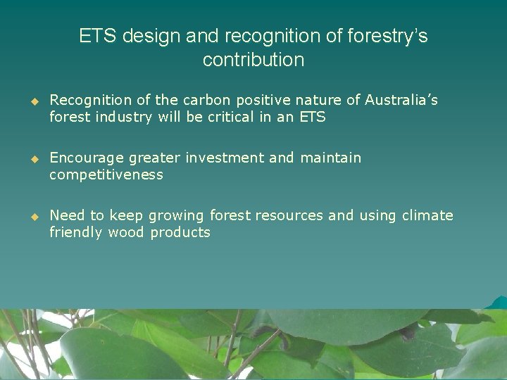 ETS design and recognition of forestry’s contribution u Recognition of the carbon positive nature ETS design and recognition of forestry’s contribution u Recognition of the carbon positive nature