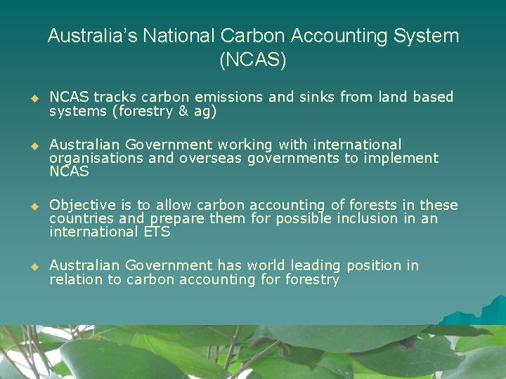 Australia’s National Carbon Accounting System (NCAS) u NCAS tracks carbon emissions and sinks from Australia’s National Carbon Accounting System (NCAS) u NCAS tracks carbon emissions and sinks from