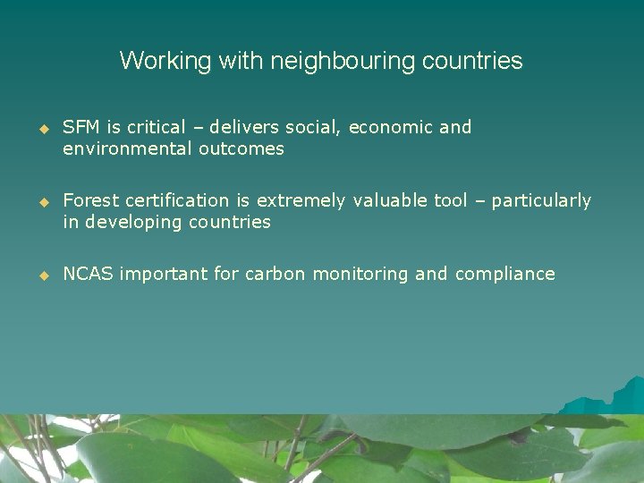 Working with neighbouring countries u SFM is critical – delivers social, economic and environmental Working with neighbouring countries u SFM is critical – delivers social, economic and environmental
