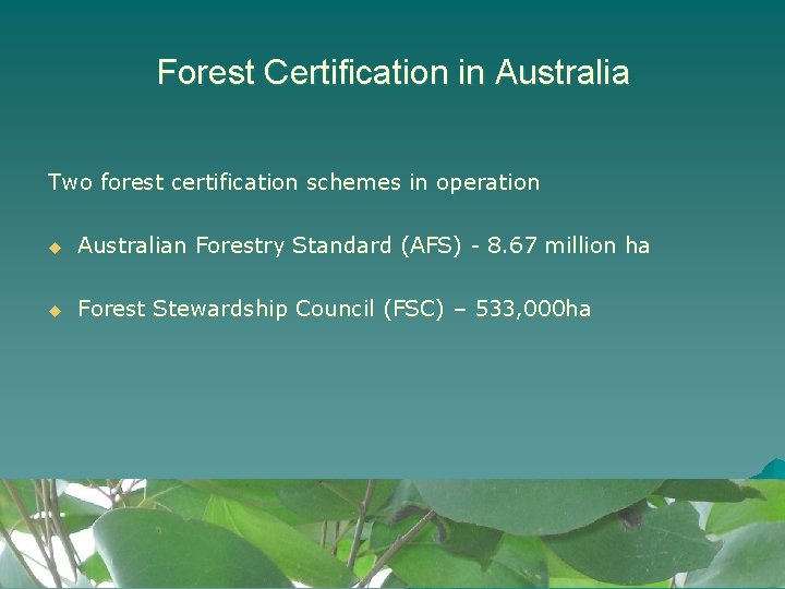 Forest Certification in Australia Two forest certification schemes in operation u Australian Forestry Standard Forest Certification in Australia Two forest certification schemes in operation u Australian Forestry Standard
