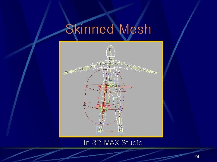Skinned Mesh In 3 D MAX Studio 24 